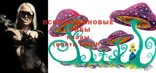прущие крисы Абаза