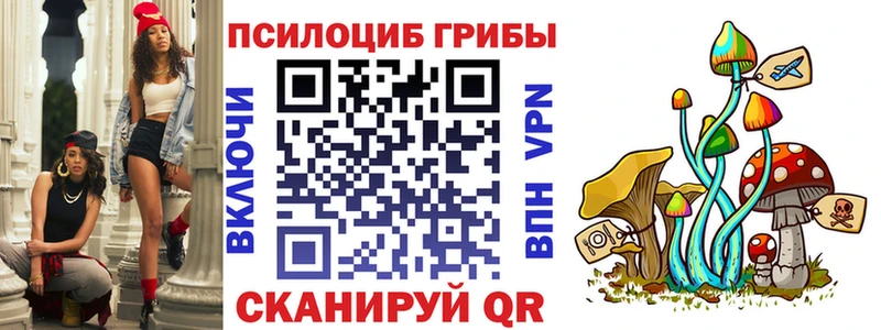 Галлюциногенные грибы Psilocybe  Агрыз 